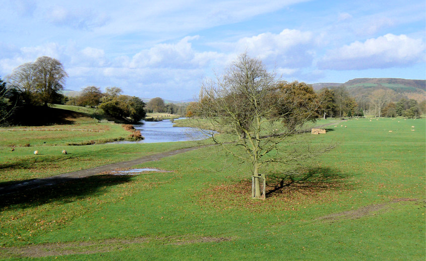 River Derwent River Derwent